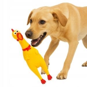 cf073f6d27b4dde16950d046cbffbd98